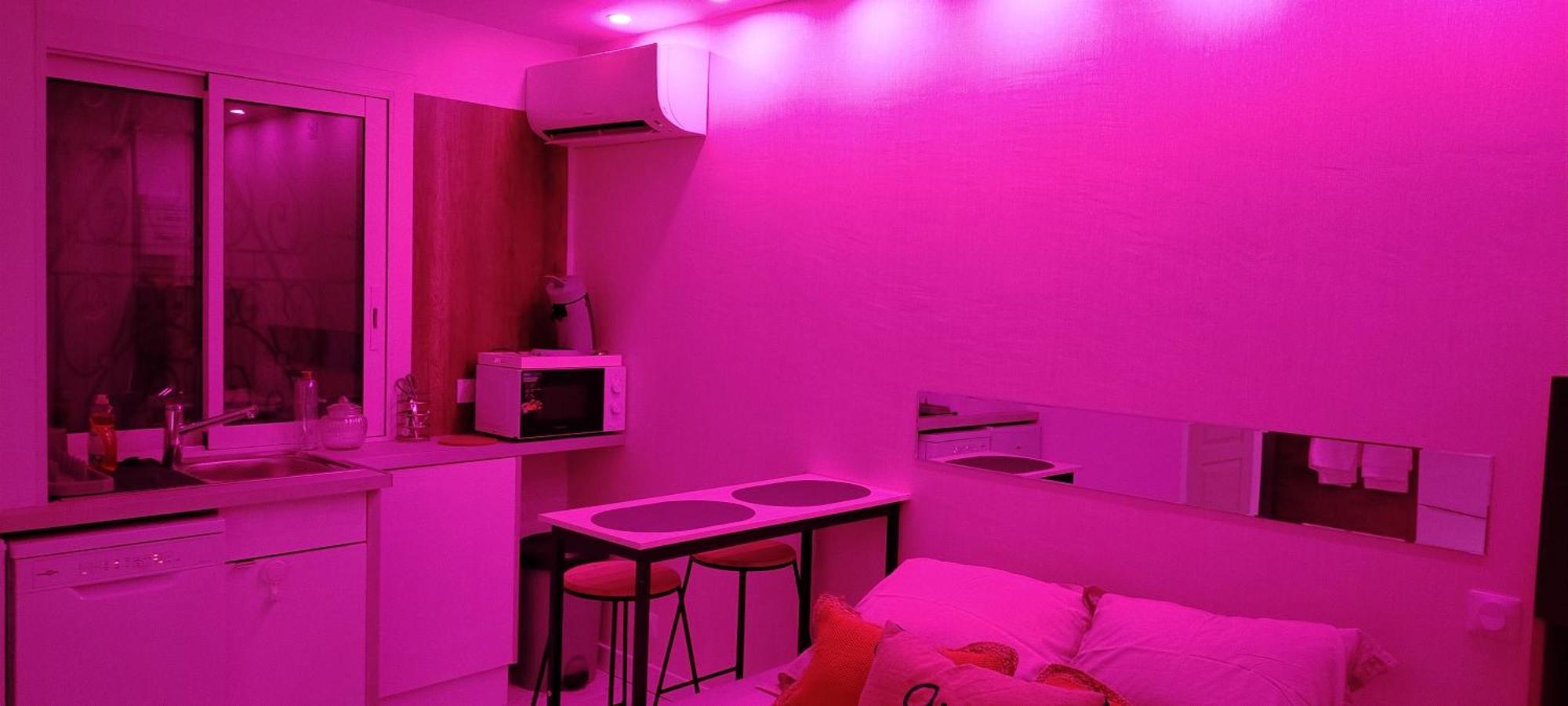 Studio Cosy Balneo Avec Jardin Le Barcares Luaran gambar